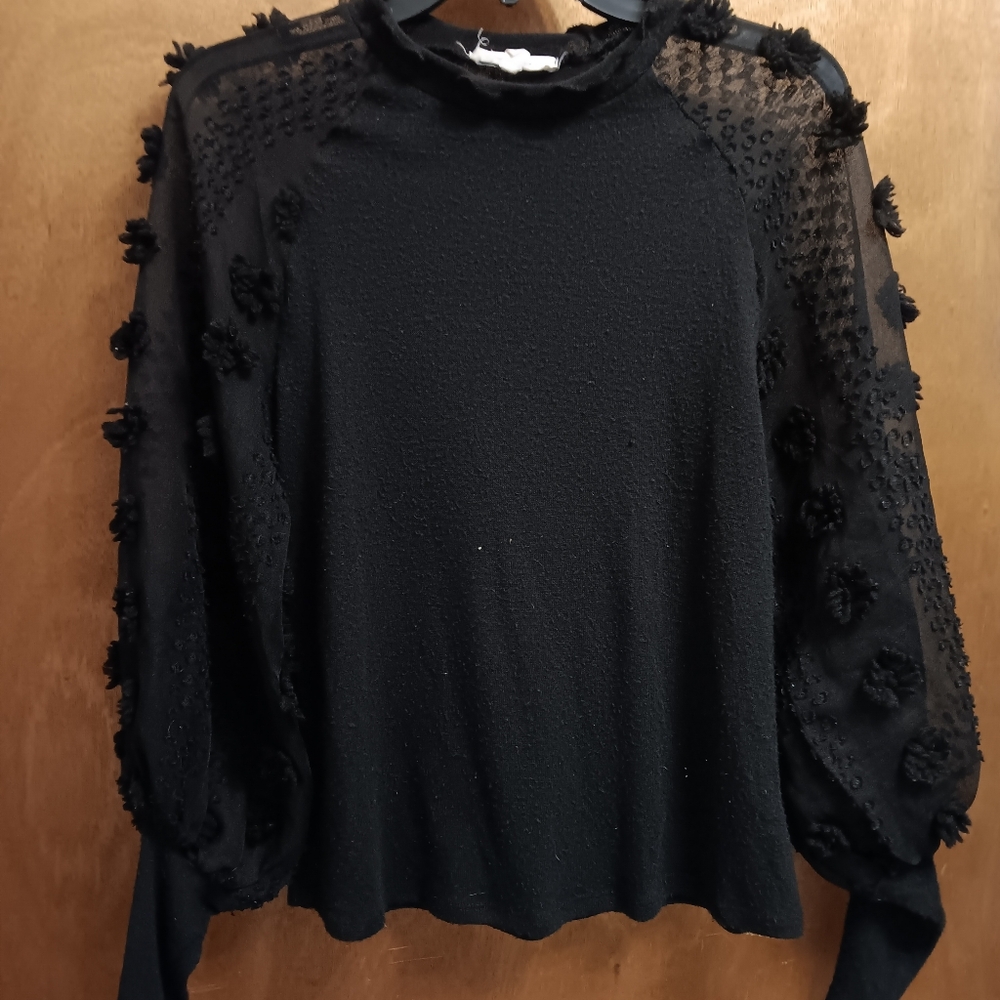 Another Reason Elegant Black Sheer Sleeve Top